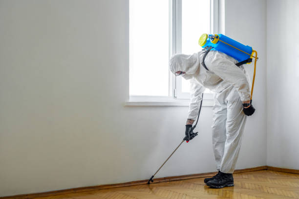 Professional Pest Control in Ardsley, NY