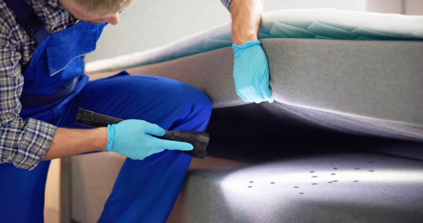 Best Wasp Removal Services  in Ardsley, NY