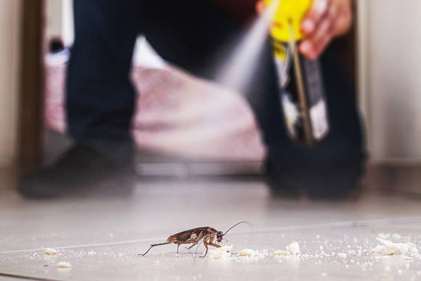 Best Termite Control Services  in Ardsley, NY