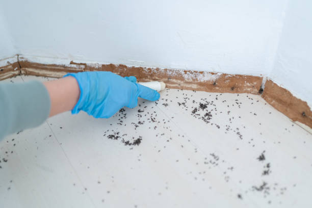Best Wildlife Control Services  in Ardsley, NY